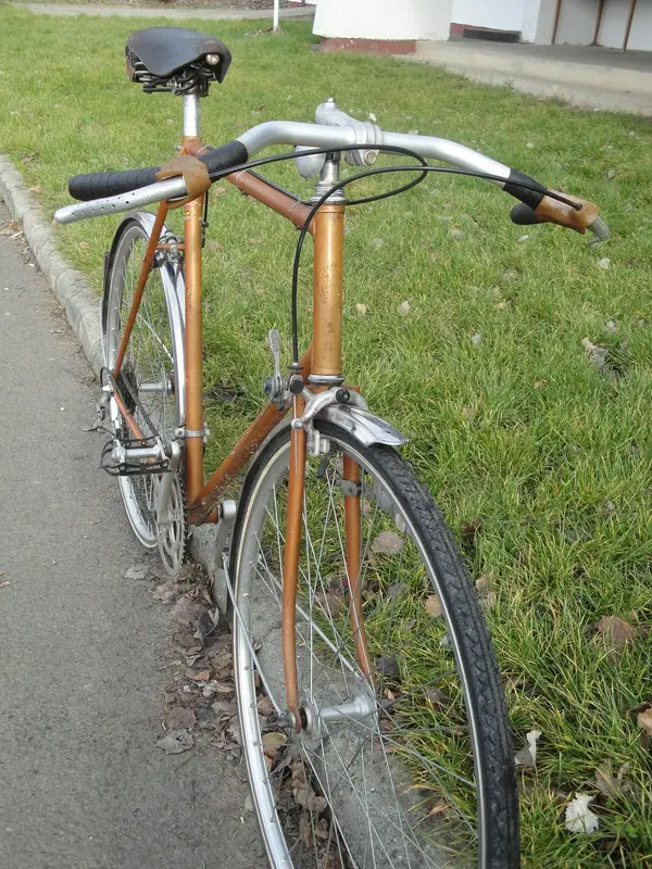 Cycles Champion6.webp
