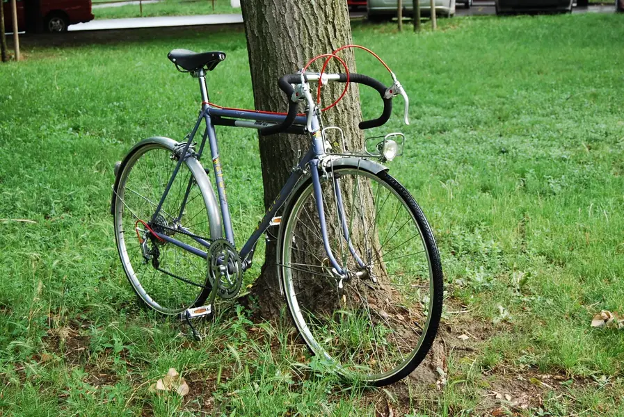 Artois 650b9.webp