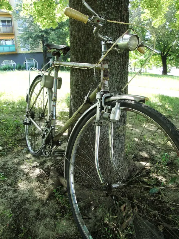 Staiger 1950s3.webp