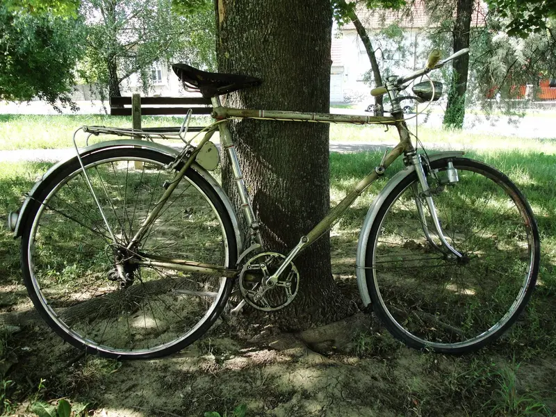 Staiger 1950s9.webp