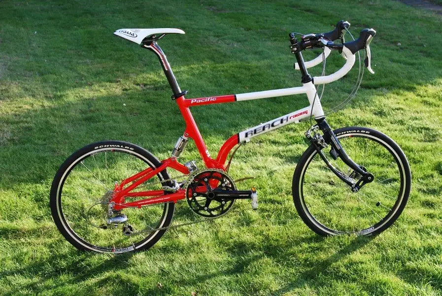 Pacific cycles.webp