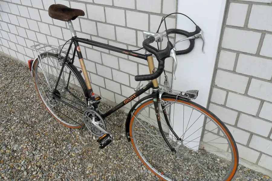 Giant Super Tourer 2.webp