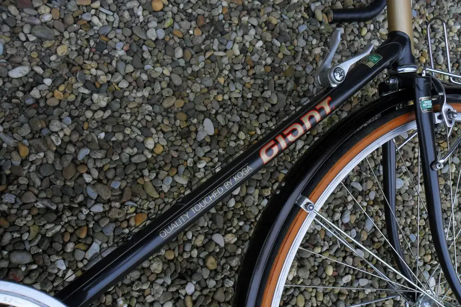 Giant Super Tourer 3.webp