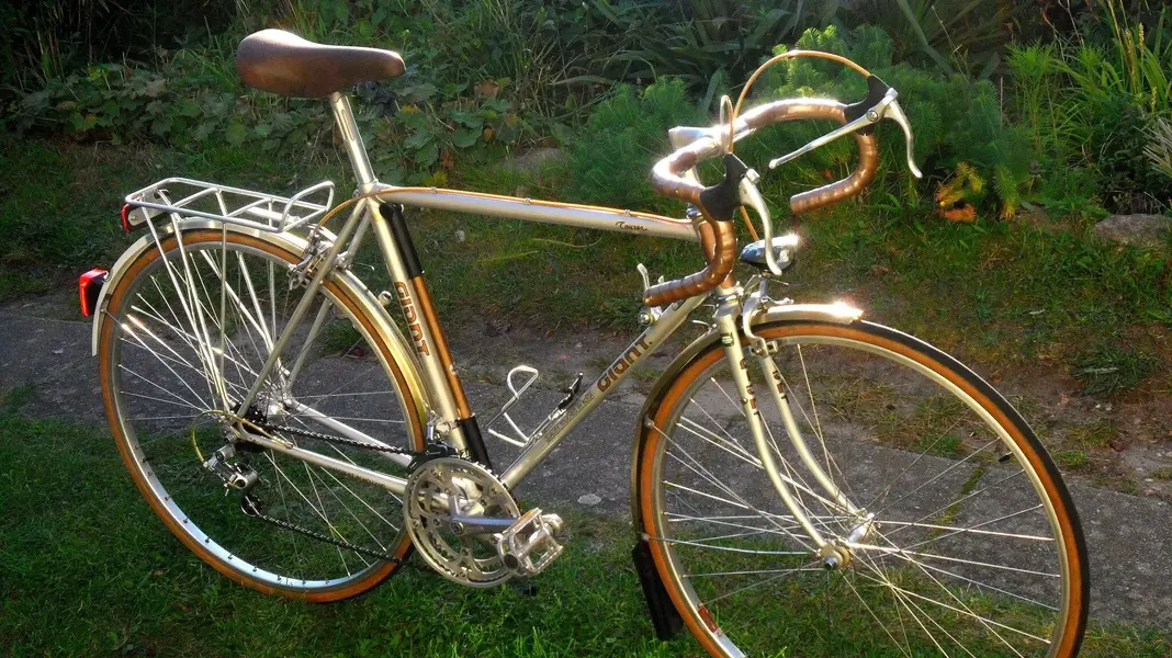 Giant tourer1.webp