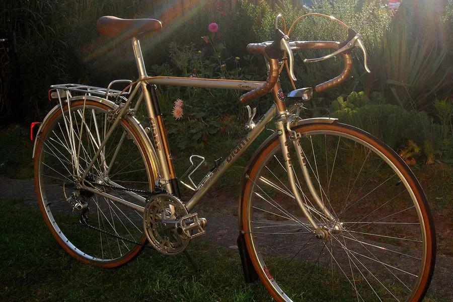 Giant tourer2.webp