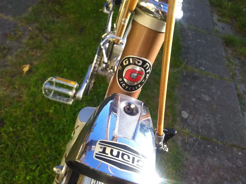 Giant tourer3.webp