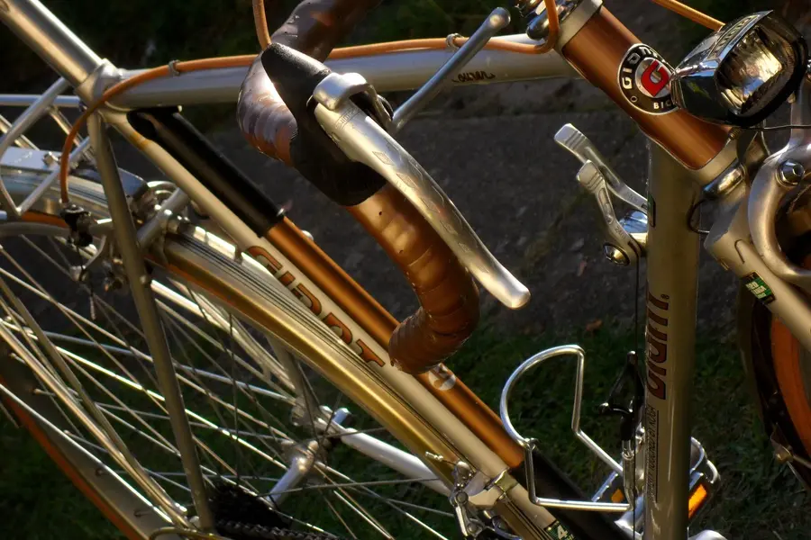 Giant tourer4.webp