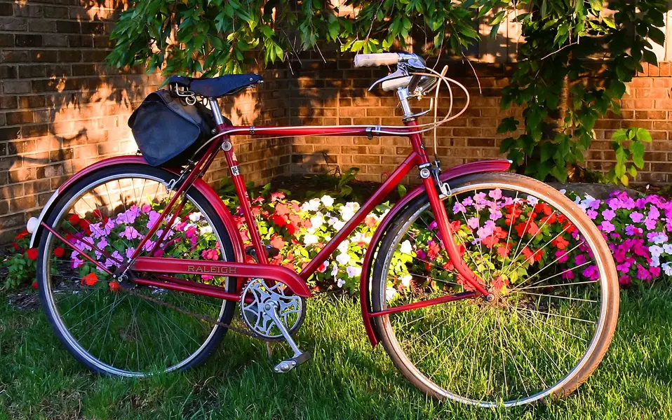 Raleigh DL22 1963 1.webp