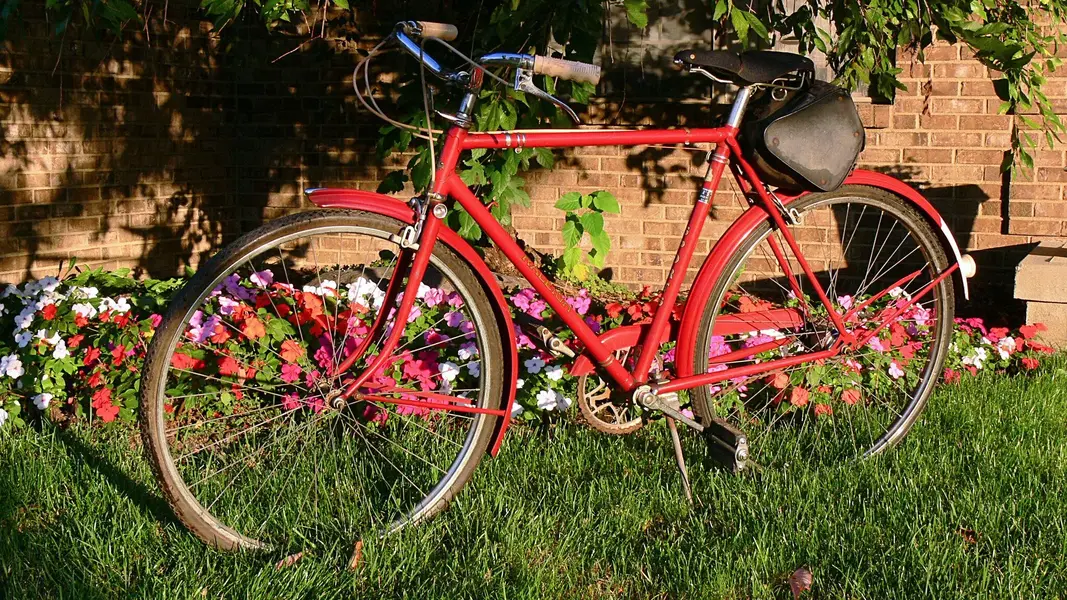 Raleigh DL22 1963 4.webp
