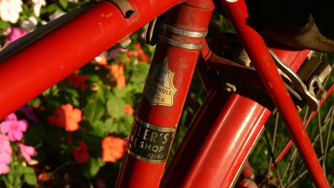 Raleigh DL22 1963 5.webp