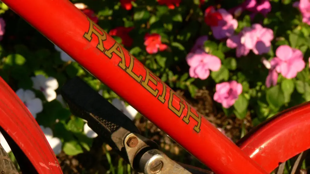Raleigh DL22 1963 7.webp