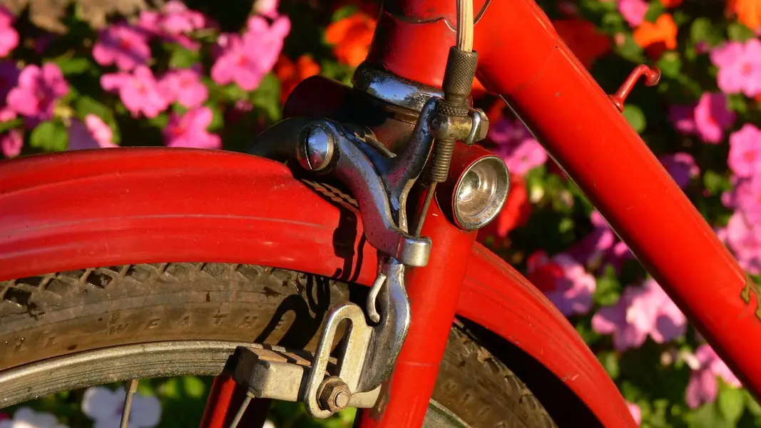 Raleigh DL22 1963 8.webp