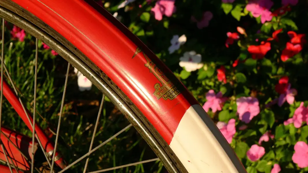 Raleigh DL22 1963 16.webp
