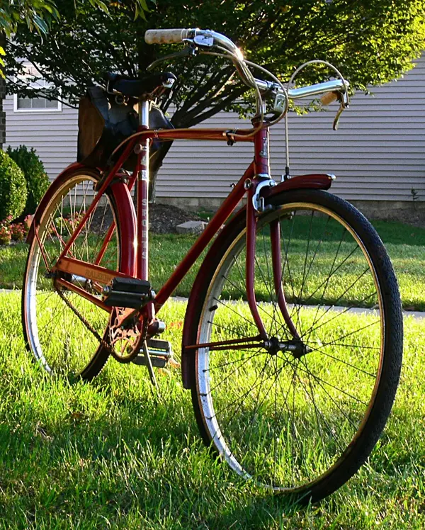Raleigh DL22 1963 19.webp