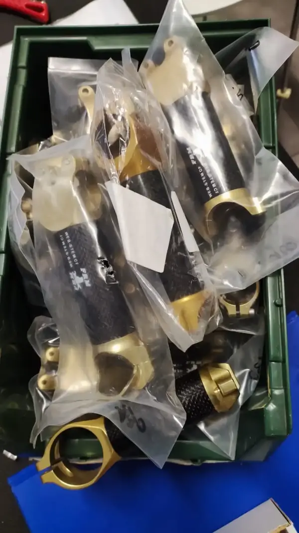 web stem gold01.webp