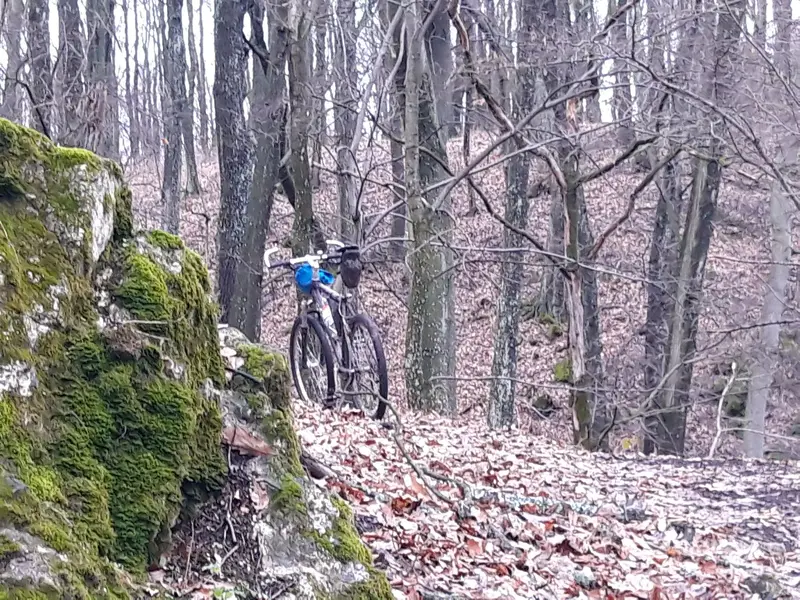 20230118_144357.webp