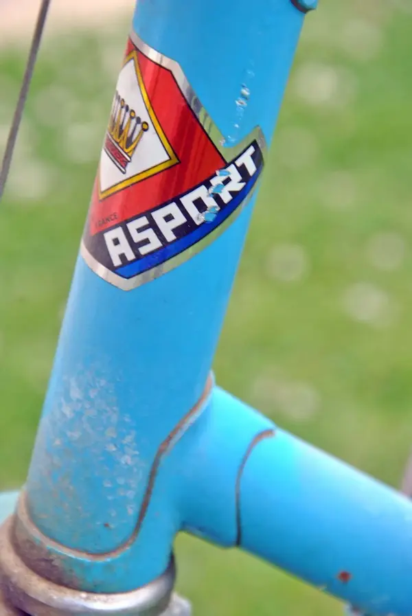 RoyalAsport_headtube3.webp