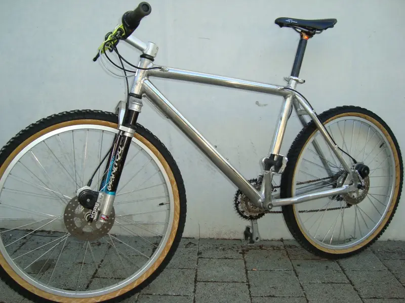 Fuchs mit Magura Sachs Kombi Ricardo Zurich1.jpg