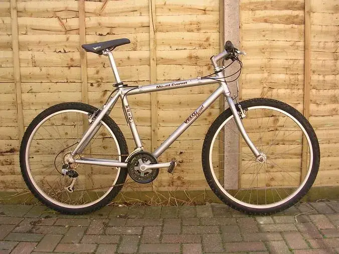 Free bike.webp