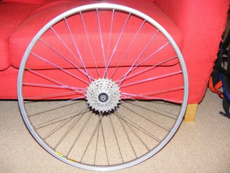 DSCF1152 (800x600).webp