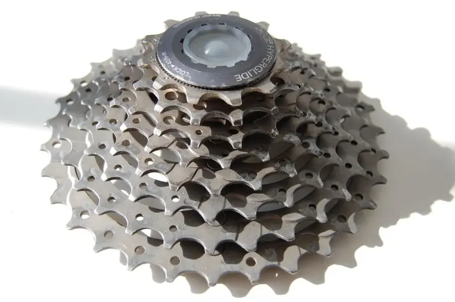 boone etc 003.webp