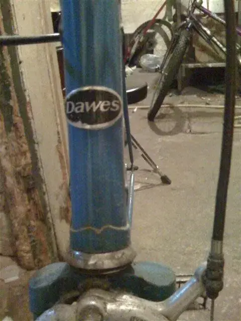 d 007 (Small).webp