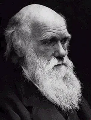 darwin.webp