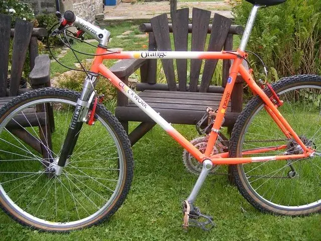 1989 Clockwork size 19.webp