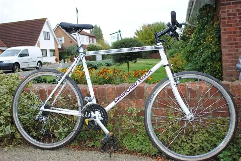 diamondback_topanga_747 (Medium).webp