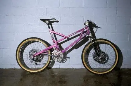 GW800H524.webp