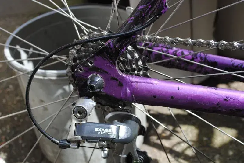 purple purple purple.webp