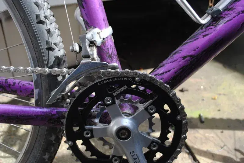 purple purple.webp