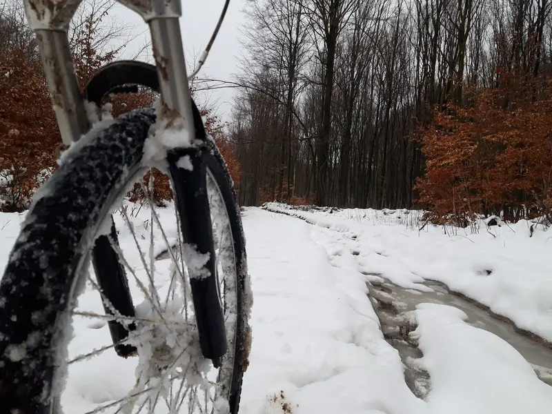 20230124_144310.webp 20230124_144310.webp