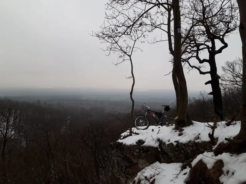 20230124_150351.webp