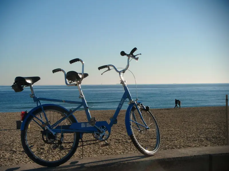 BI BICI6.webp
