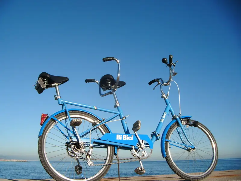 BI BICI10.webp