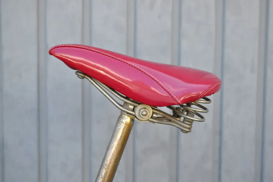 Portacycle4.webp
