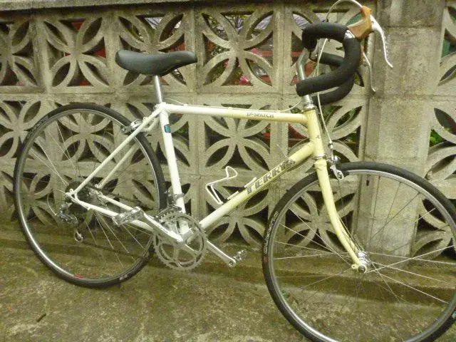 Terry bike 001.webp