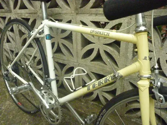 Terry bike 002.webp