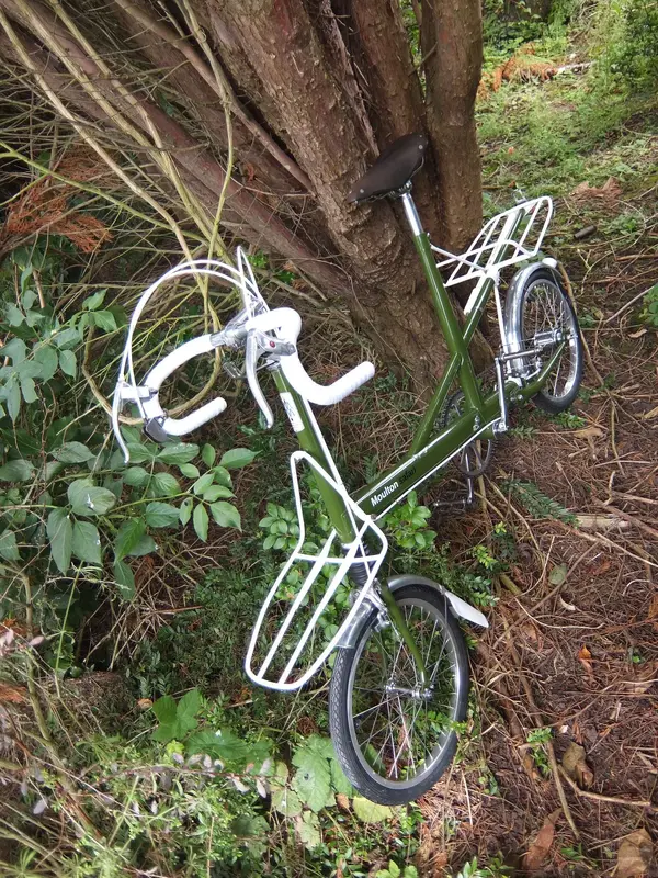 MOULTON SAFARI 36.webp
