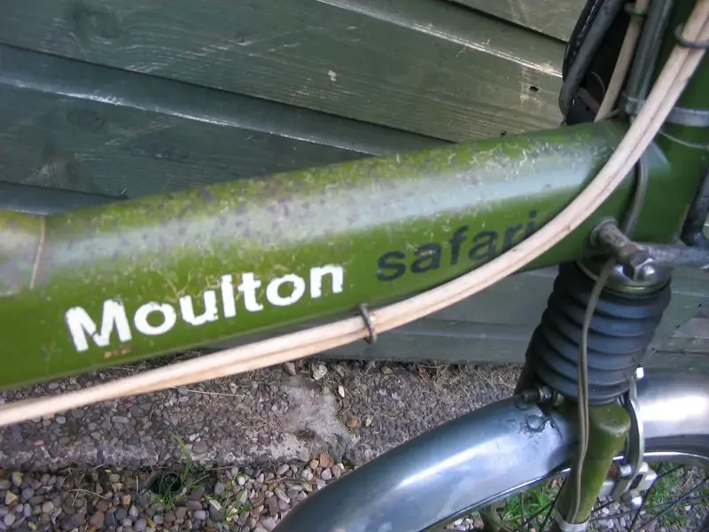 MOULTON SAFARIS 4.jpg