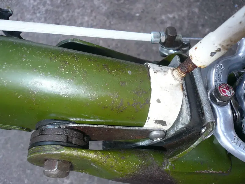 MOULTON SAFARIS 10.jpg
