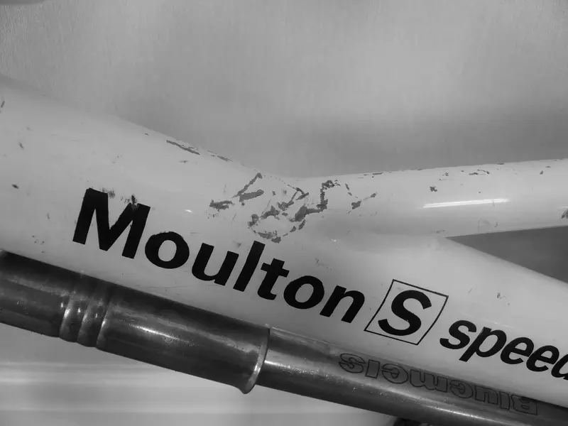 MOULTON S SPEED 4.webp