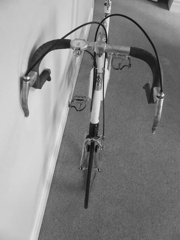 MOULTON S SPEED 15.webp