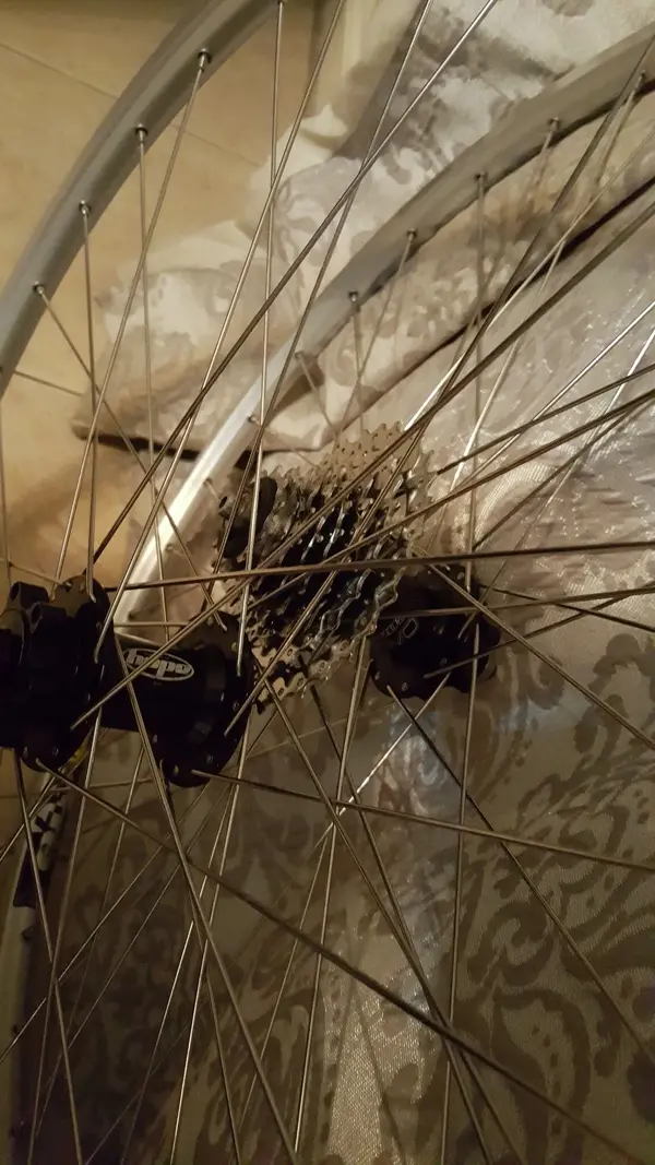 20230128_234836.webp