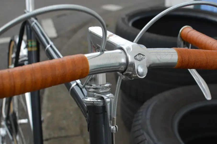 BERTIN PORTEUR 4.webp