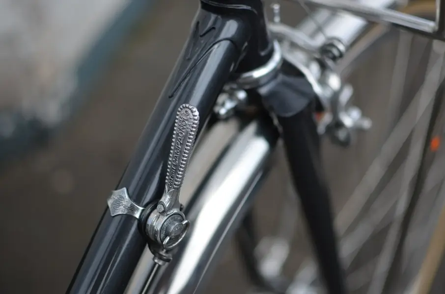 BERTIN PORTEUR 7.webp