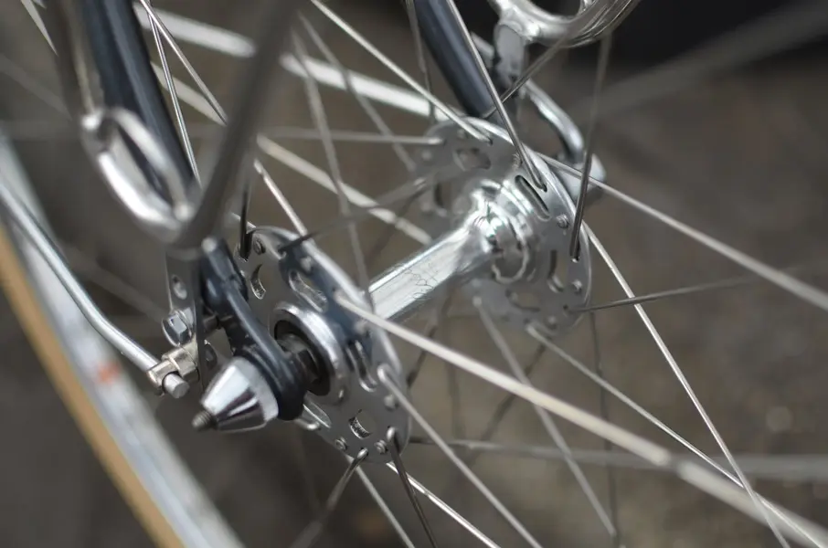 BERTIN PORTEUR 8.webp