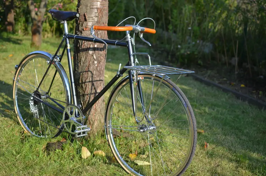 BERTIN PORTEUR 40.webp