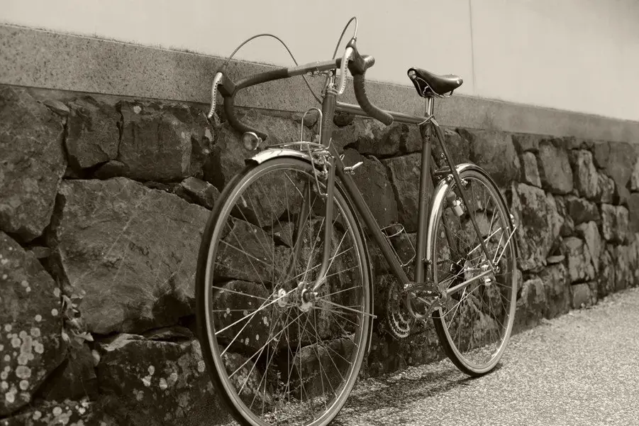 ALEX SINGER RANDONNEUR 1.webp